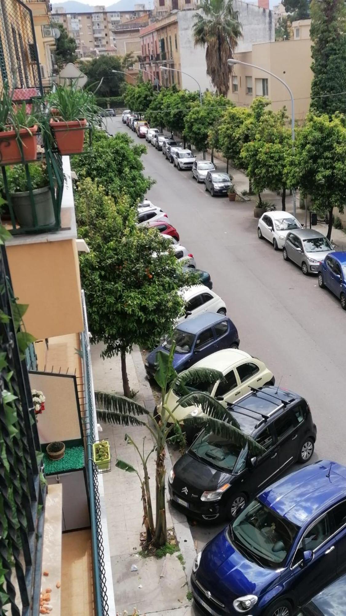 Biddizzi Διαμέρισμα Παλέρμο Εξωτερικό φωτογραφία
